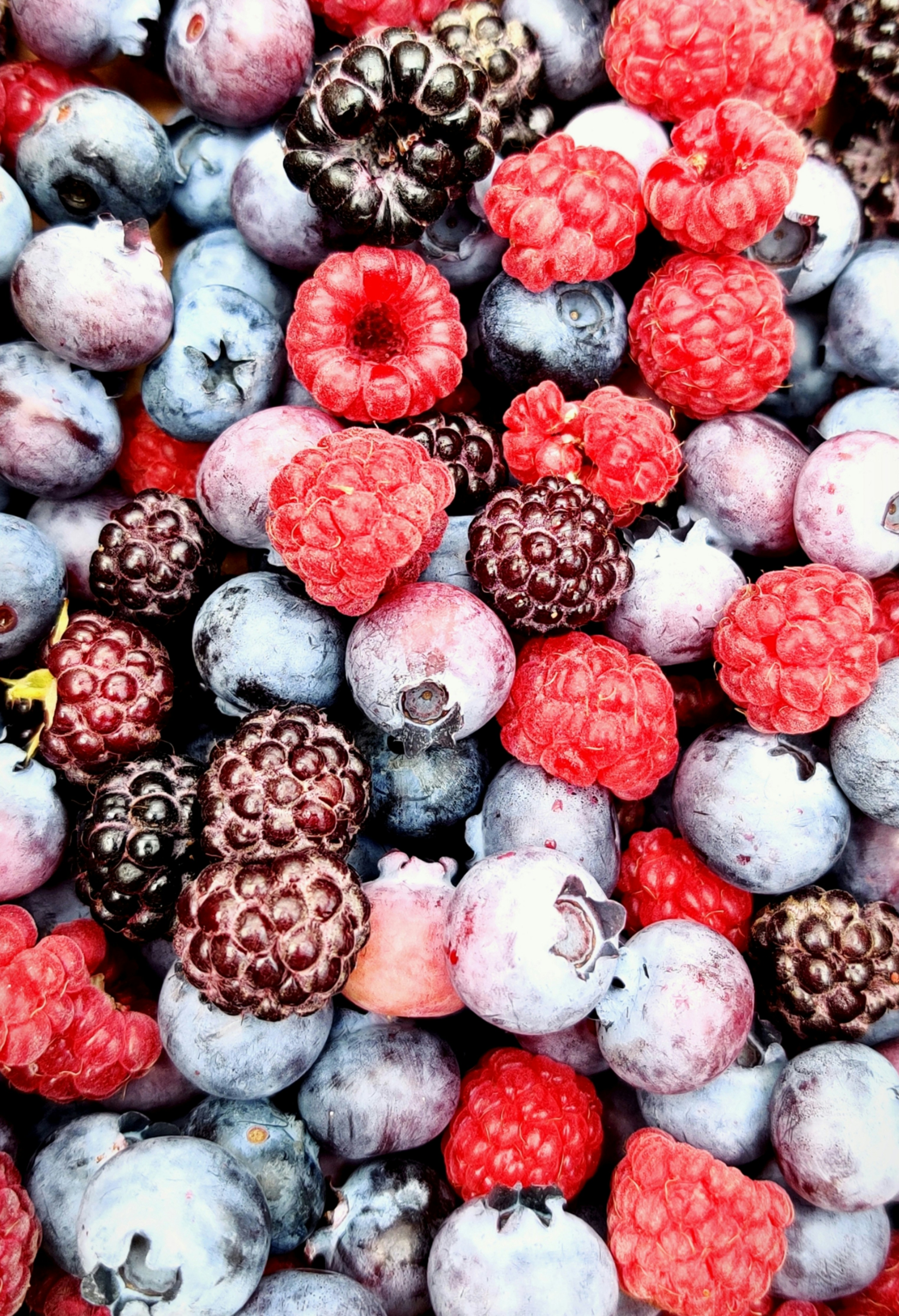 Fruits rouges